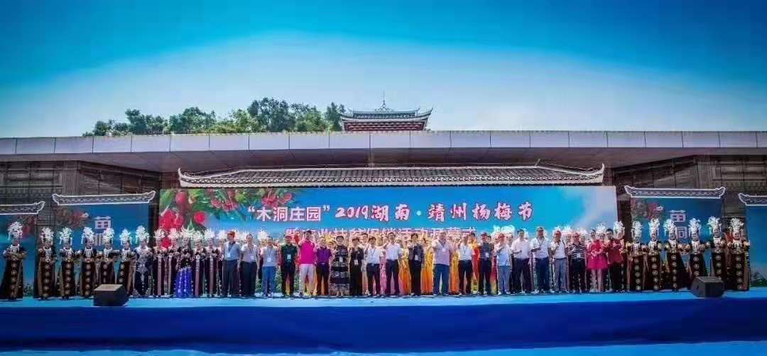 唐龙太极湖南省总代理-靖州杨梅节户外扩声