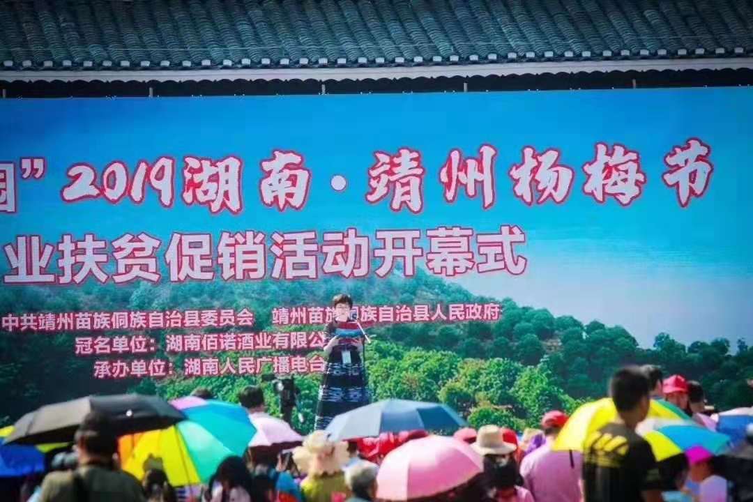 唐龙太极湖南省总代理-靖州杨梅节户外扩声